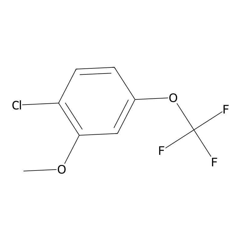 2-Chloro-5-(trifluoromethoxy)anisole