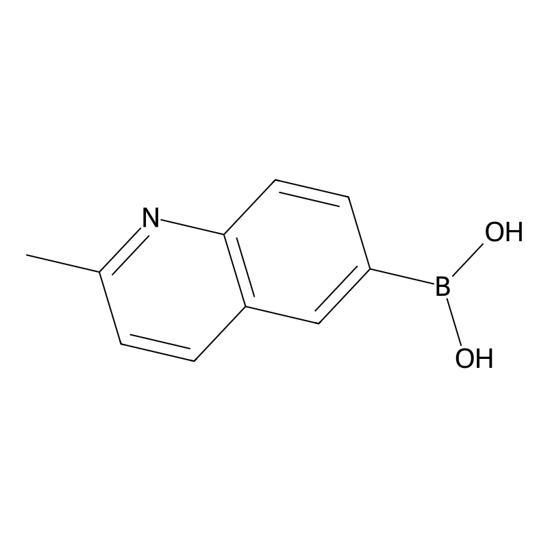 (2-Methyl-6-quinolinyl)boronic acid