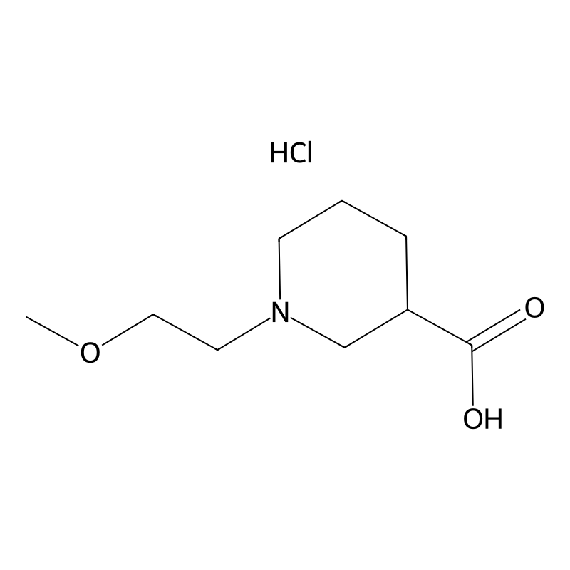 1-(2-Methoxyethyl)piperidine-3-carboxylic acid hyd...