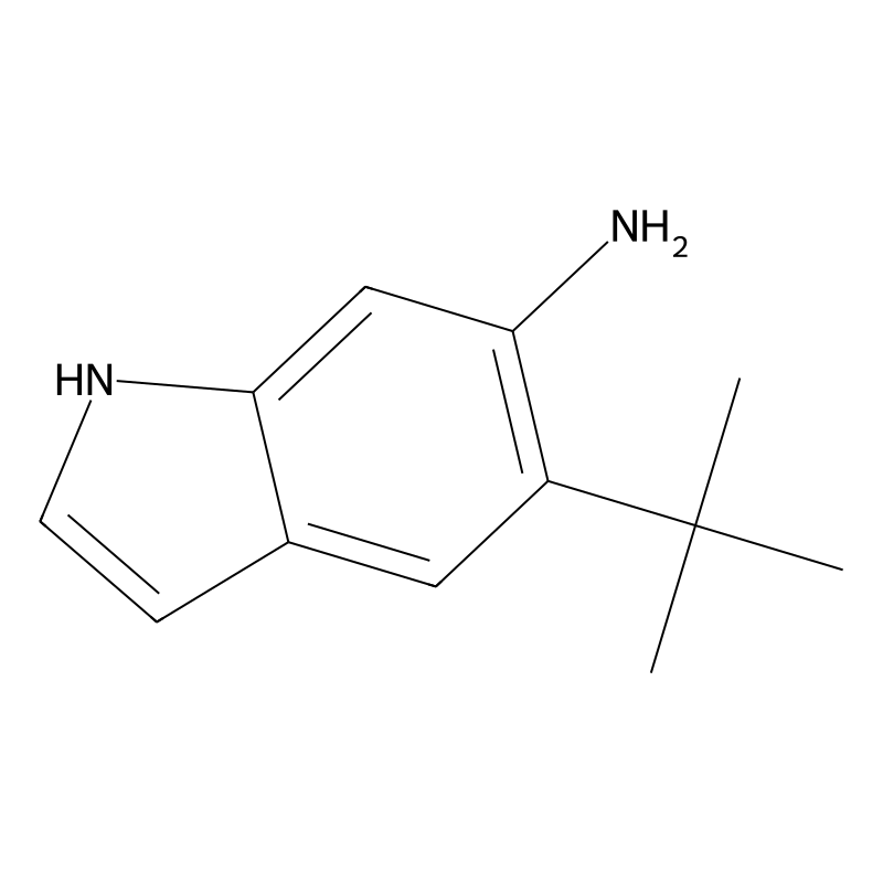 5-tert-butyl-1H-indol-6-ylamine