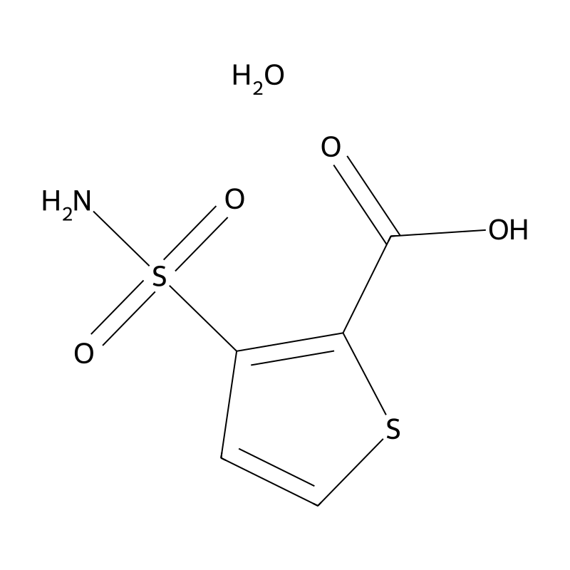 3-(Aminosulfonyl)-2-thiophenecarboxylic acid hydra...