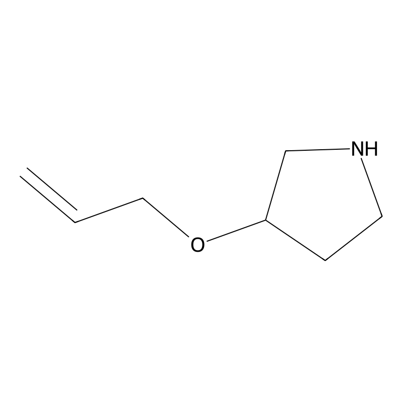 3-(Allyloxy)pyrrolidine