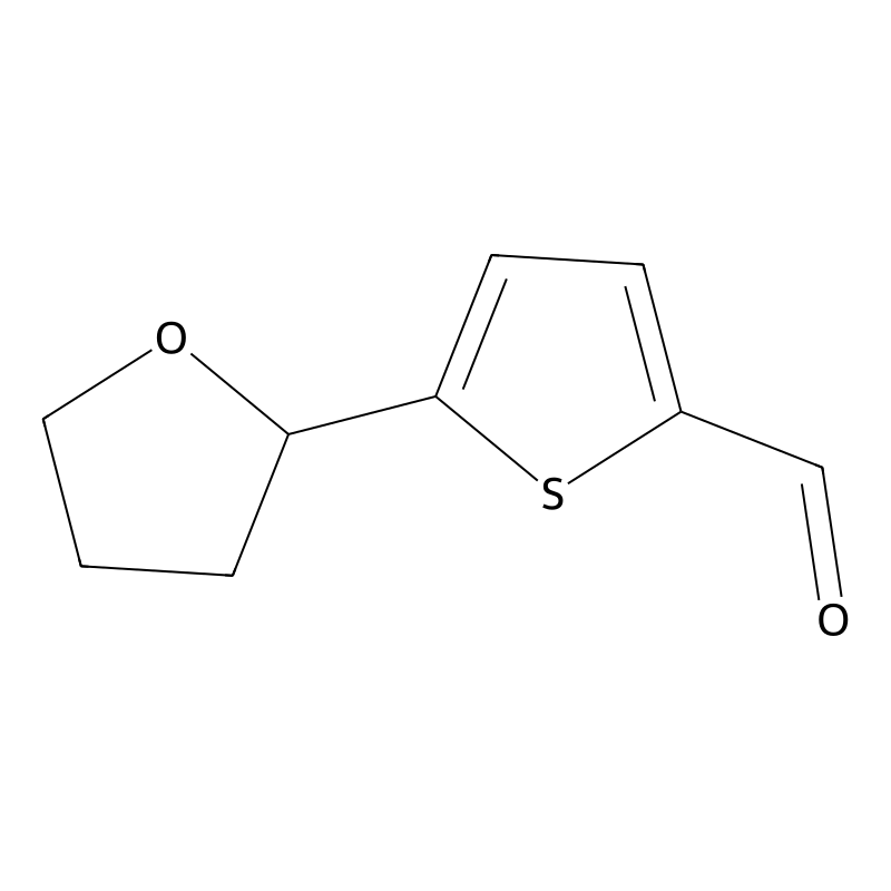 5-(Tetrahydrofuran-2-yl)thiophene-2-carbaldehyde