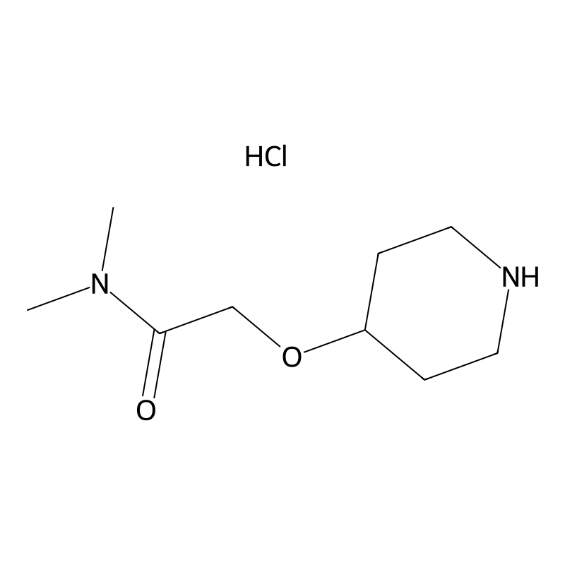 N,N-dimethyl-2-(piperidin-4-yloxy)acetamide hydroc...