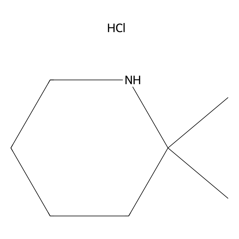 2,2-Dimethylpiperidine hydrochloride