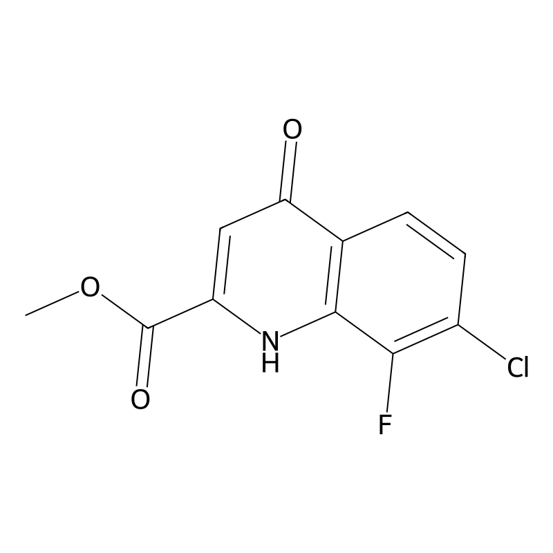 Methyl 7-chloro-8-fluoro-4-hydroxyquinoline-2-carb...