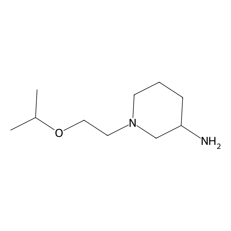 1-(2-Isopropoxyethyl)-piperidin-3-ylamine