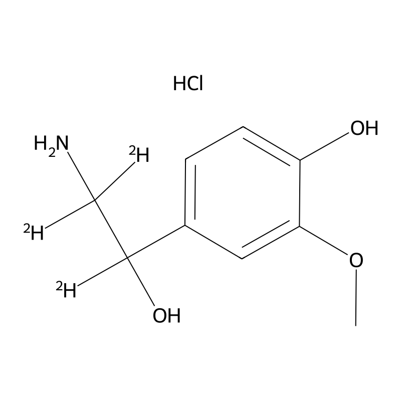 rac Normetanephrine-d3 Hydrochloride