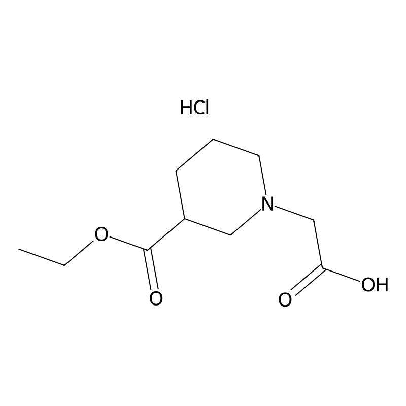 [3-(Ethoxycarbonyl)piperidin-1-yl]acetic acid hydr...
