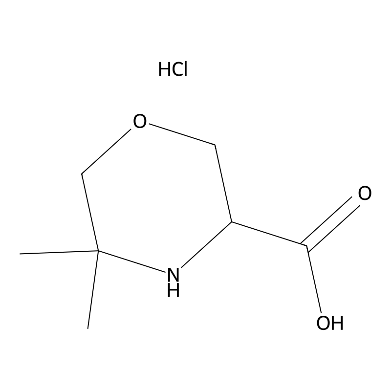 5,5-Dimethylmorpholine-3-carboxylic acid hydrochlo...