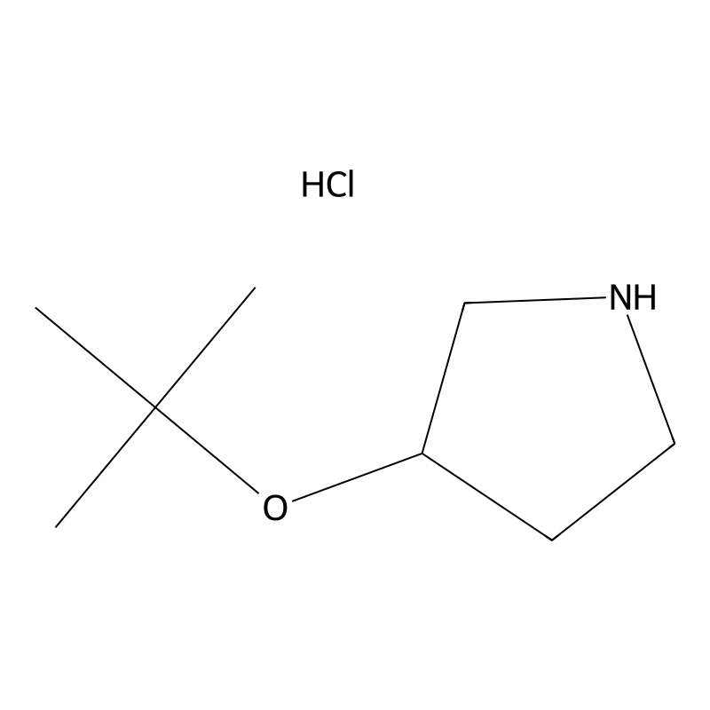 3-(Tert-butoxy)pyrrolidine hydrochloride