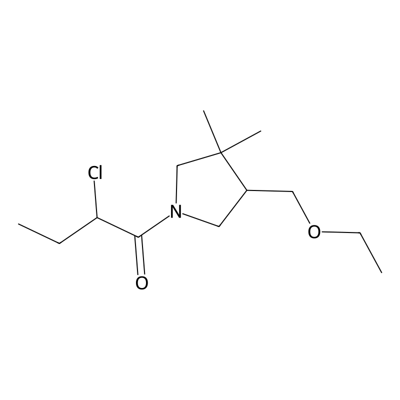 2-Chloro-1-(4-(ethoxymethyl)-3,3-dimethylpyrrolidi...