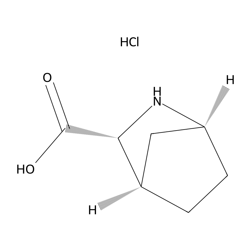 (1S,3R,4R)-2-Azabicyclo[2.2.1]heptane-3-carboxylic...