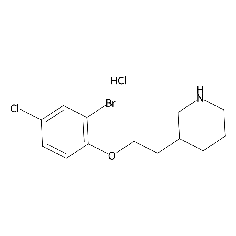 3-[2-(2-Bromo-4-chlorophenoxy)ethyl]piperidine hyd...