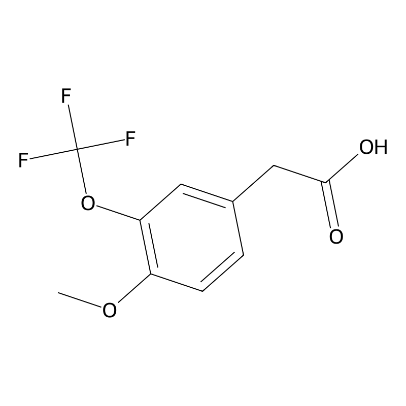 4-Methoxy-3-(trifluoromethoxy)phenylacetic acid
