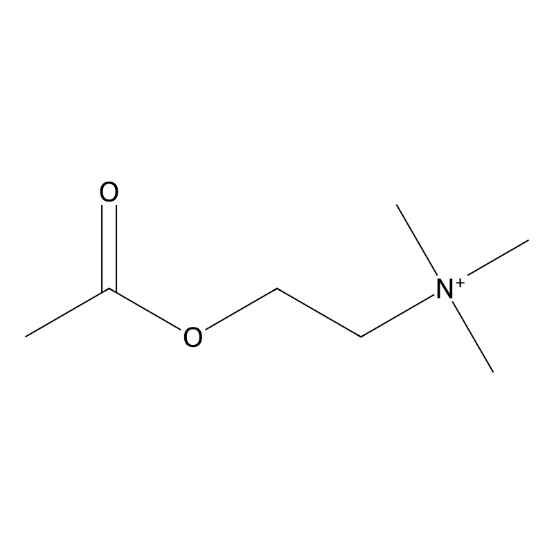 Acetylcholine