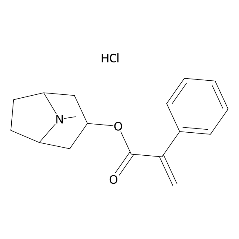 Apoatropine HCl
