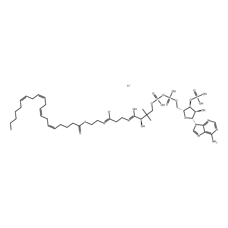 Arachidonoyl coenzyme A lithium salt