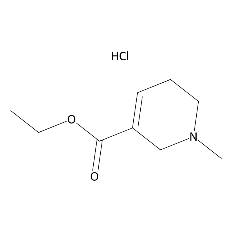 Arecaidine Ethyl Ester Hydrochloride
