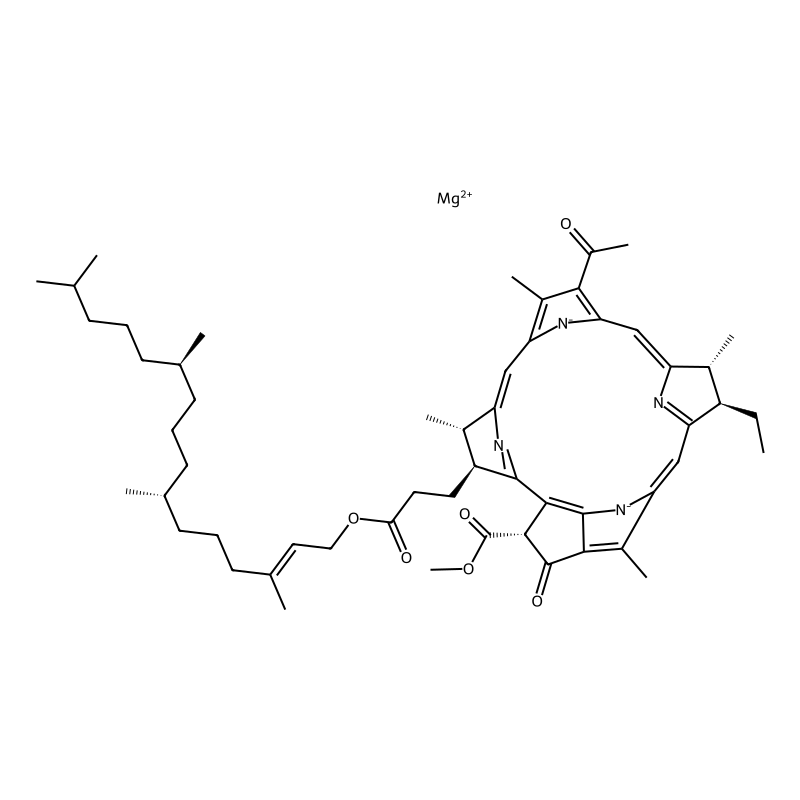 Bacteriochlorophyll