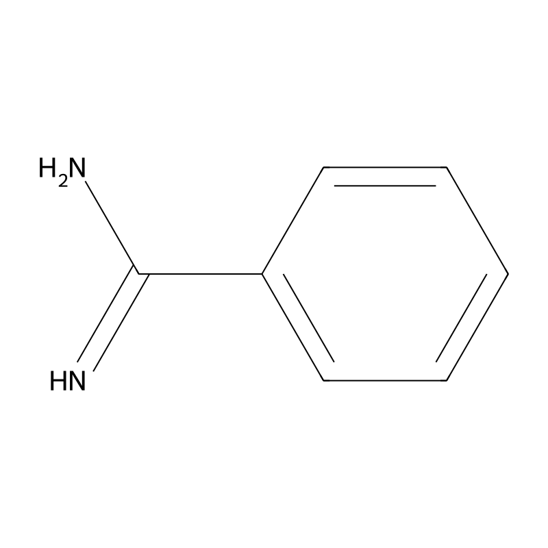 Benzamidine