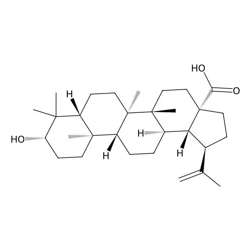 Betulinic acid