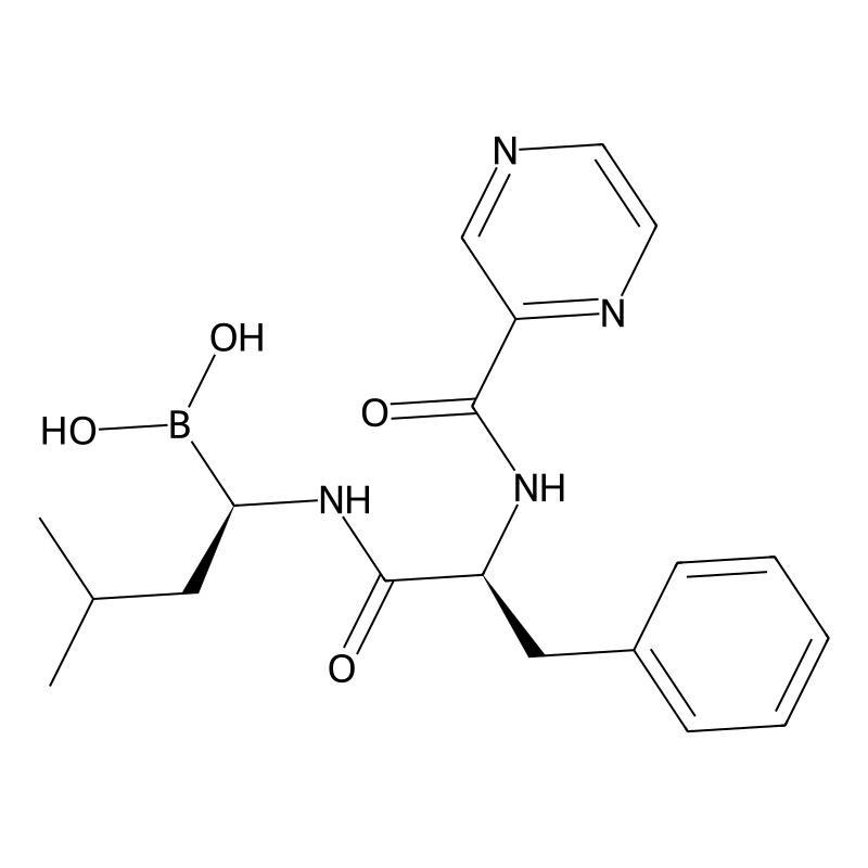 Bortezomib