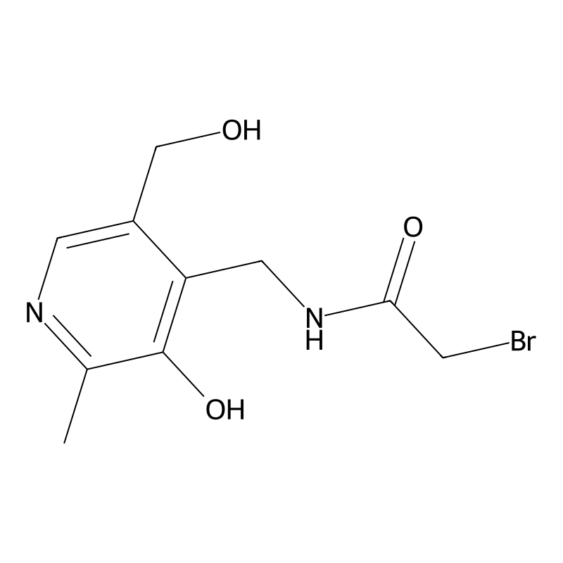 Bromoacetylpyridoxamine
