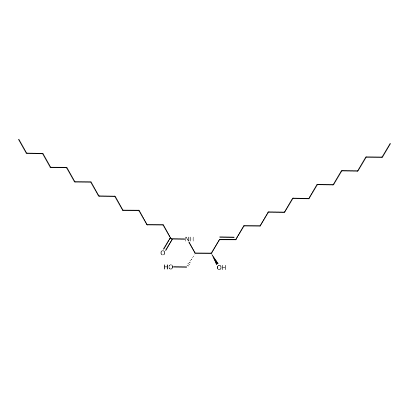 C14 Ceramide