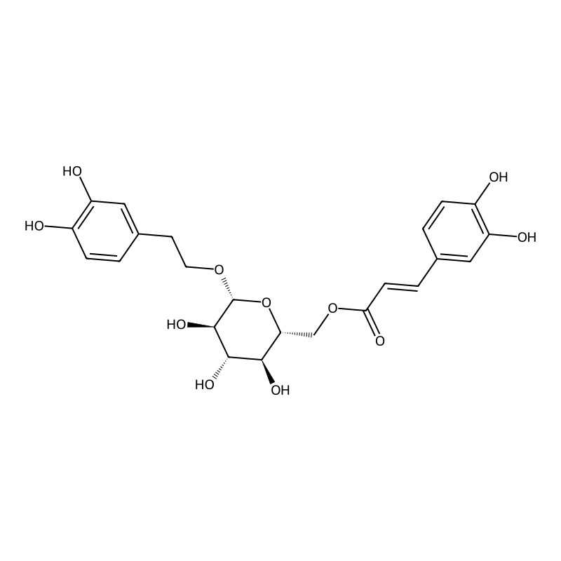 Calceolarioside B