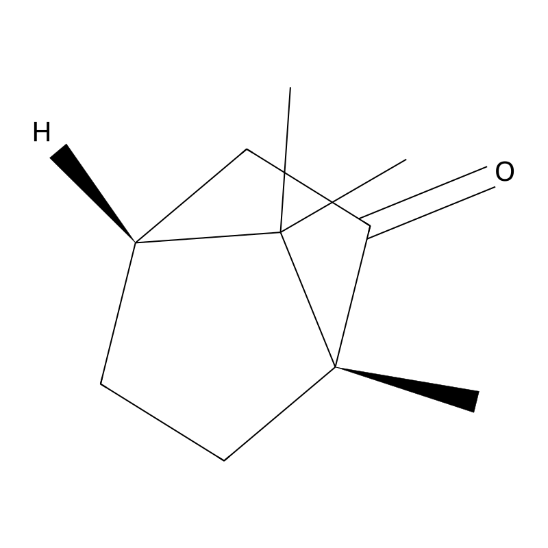 Camphor