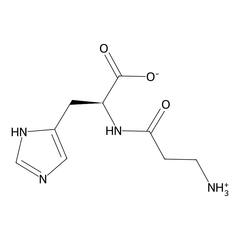 Carnosine