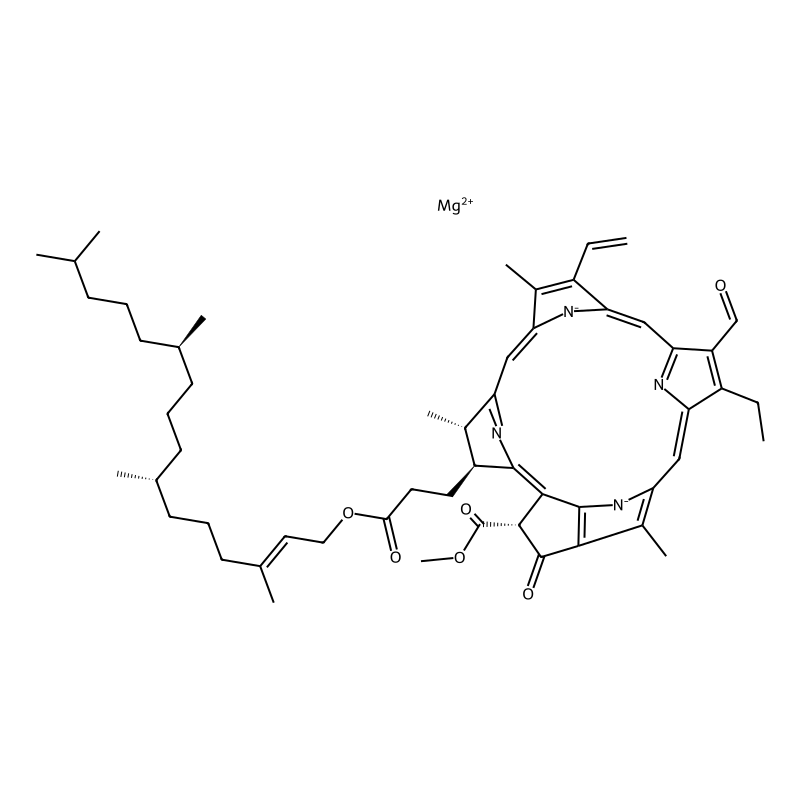 Chlorophyll B