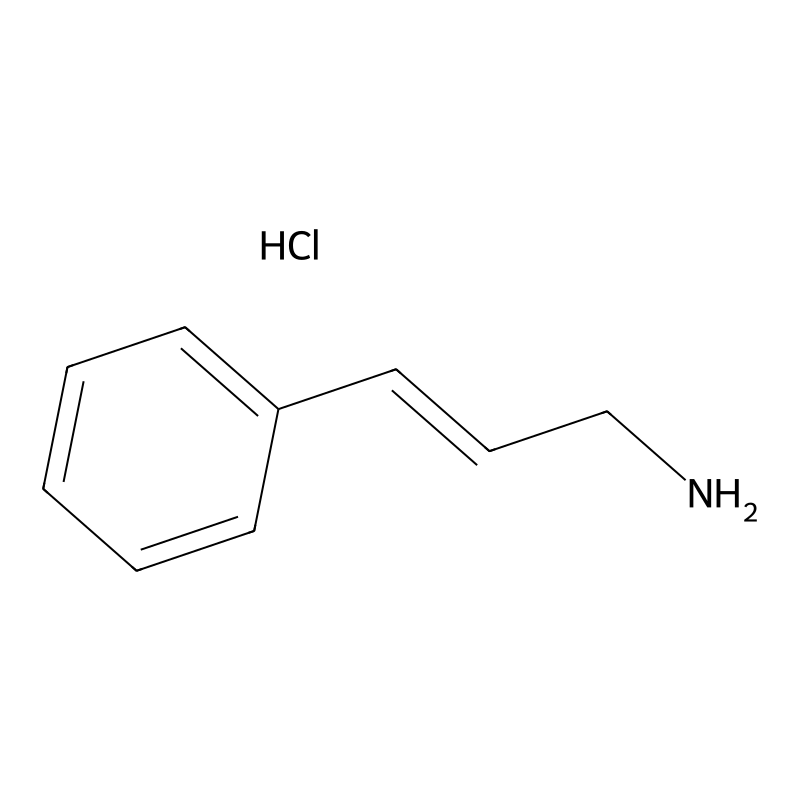 Cinnamylamine hydrochloride