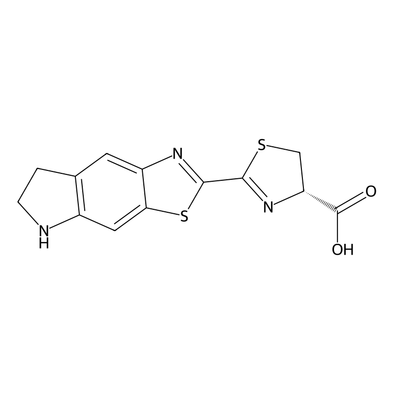 CycLuc1