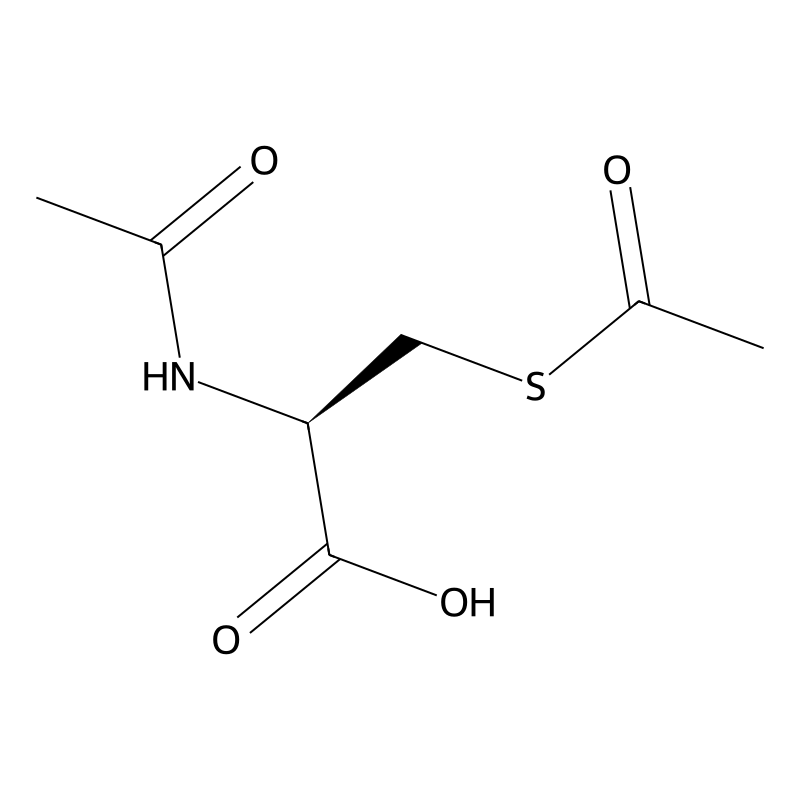 Dacisteine