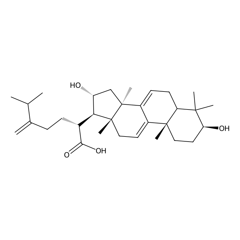 Dehydrotumulosic acid