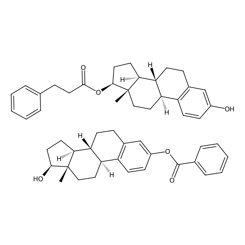 Dimenformon prolongatum