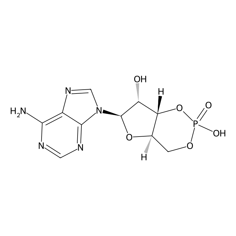 Dimethylaminopyridine