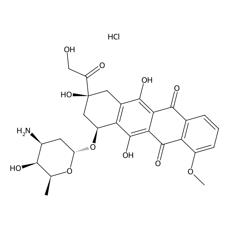 Doxorubicin Hydrochloride
