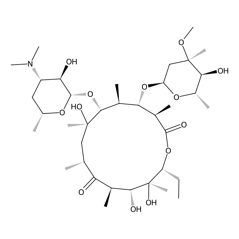 Erythromycin