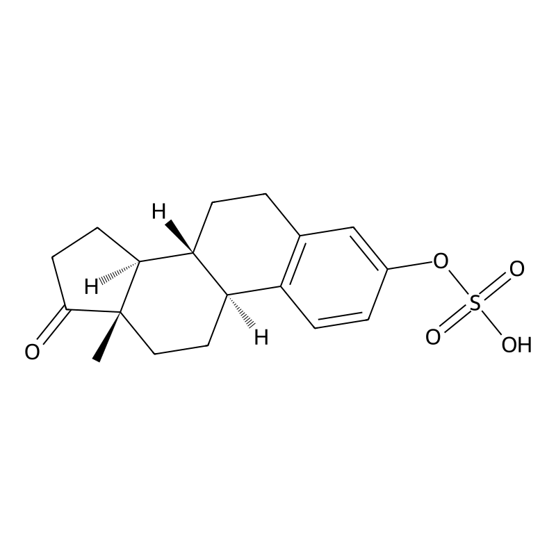 Estrone Sulfate