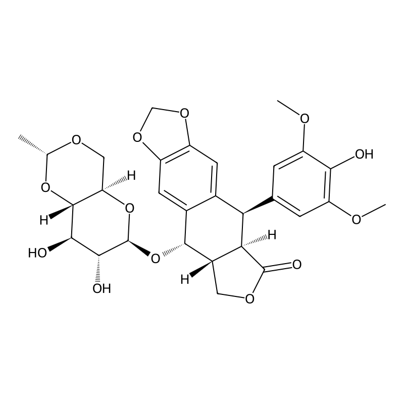 Etoposide