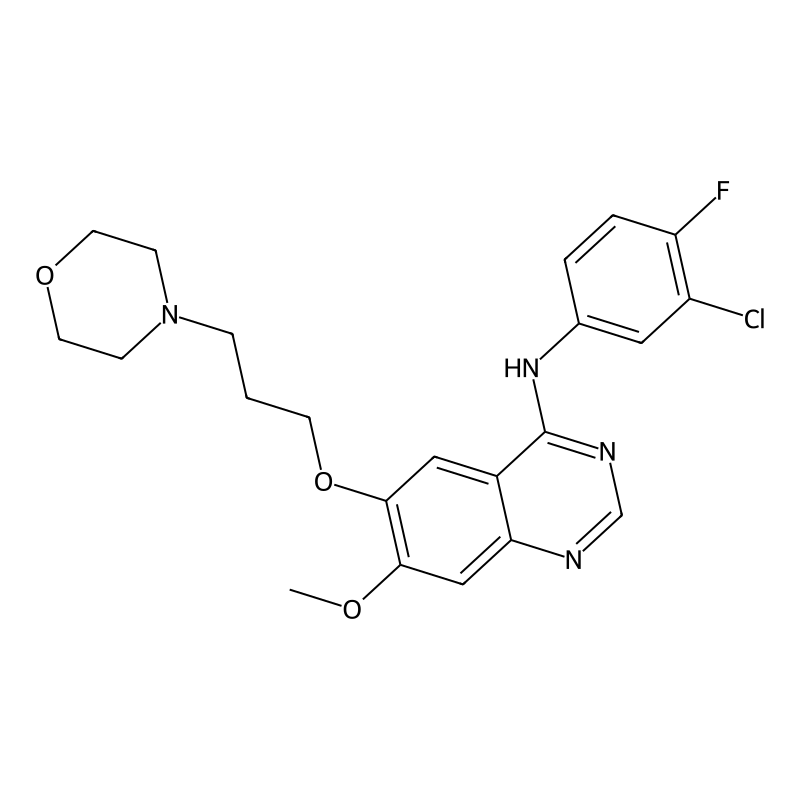 Gefitinib