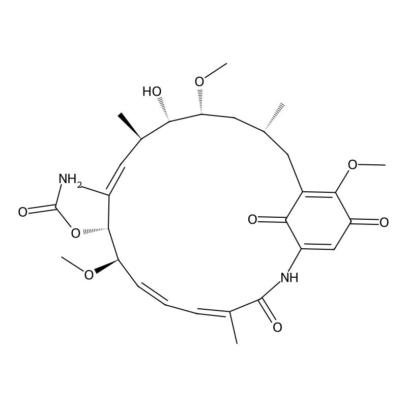 Geldanamycin