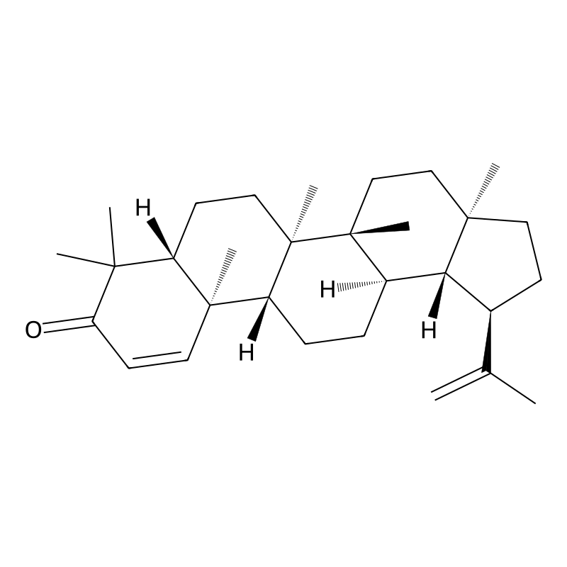 Glochidone