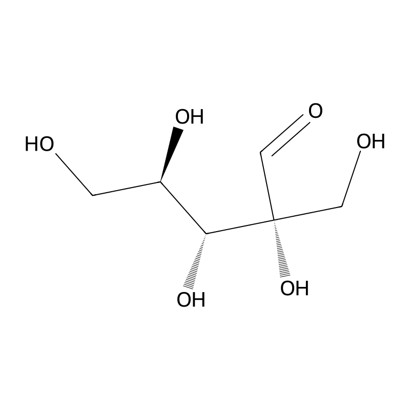 Hamamelose