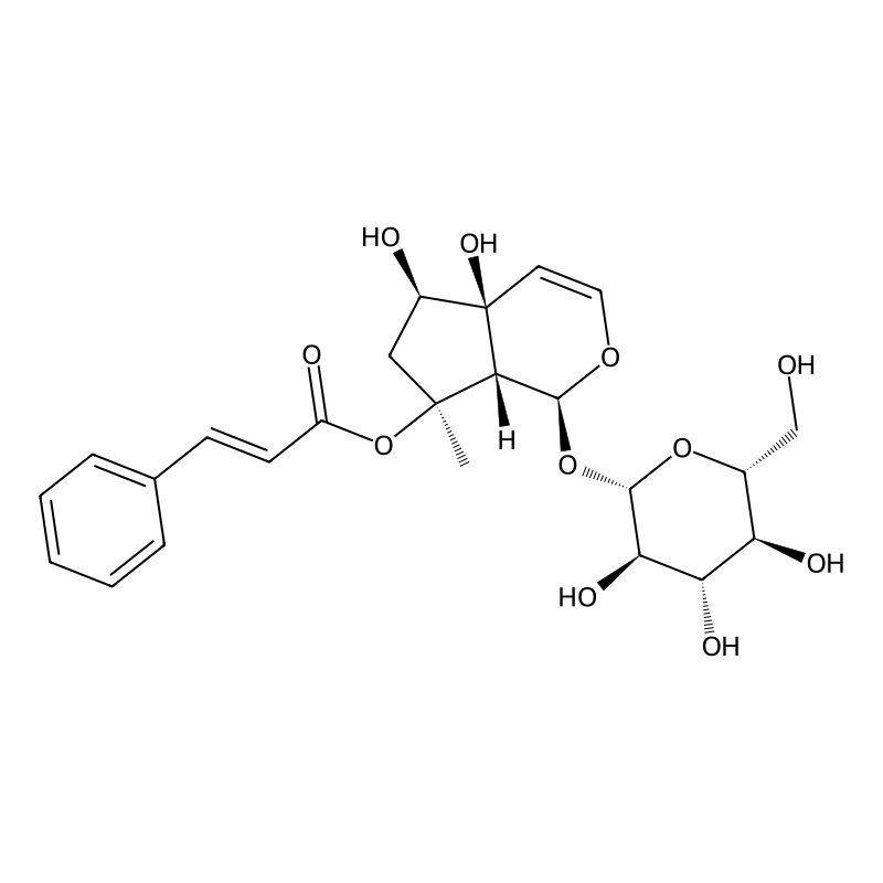 Harpagoside