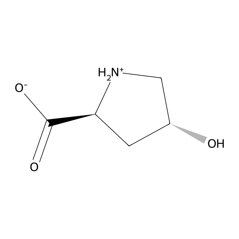 Hydroxyproline