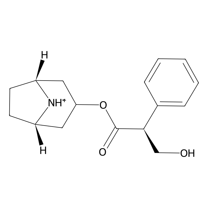 Hyoscyamine